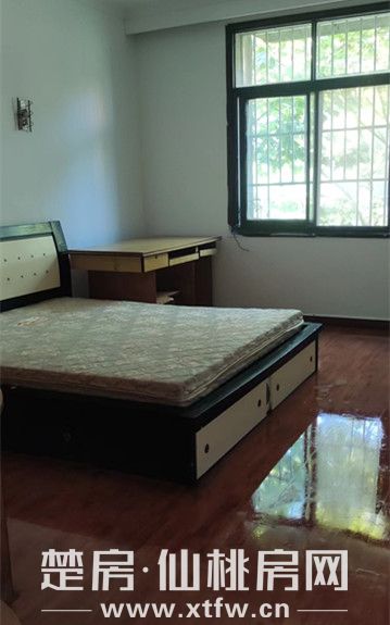 四中正对面，出校门就到