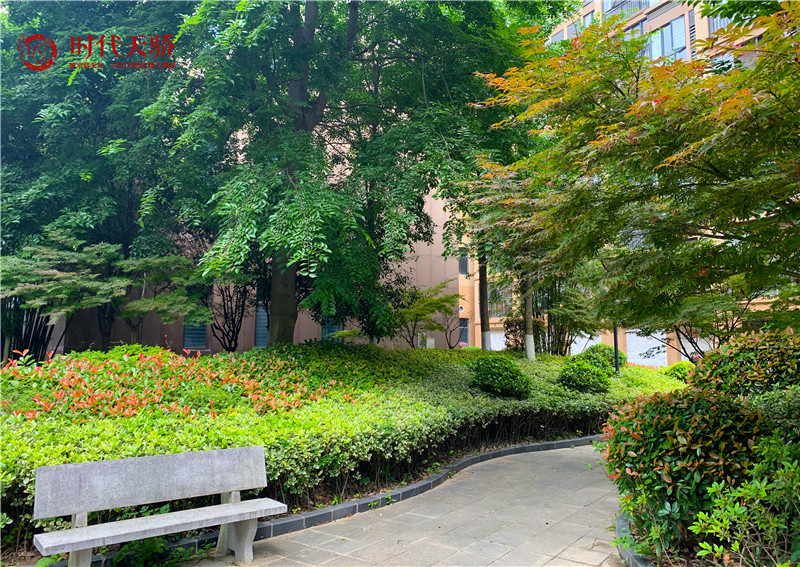 当实景园林遇见宽厅阔宅，时代天骄美到让人一见倾心！