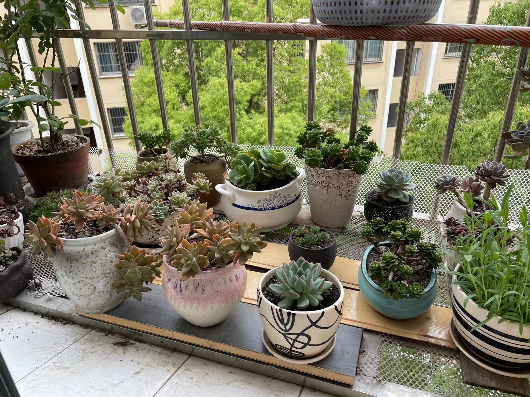 德政园精装3房2卫三个阳台步梯5楼业主诚心出售