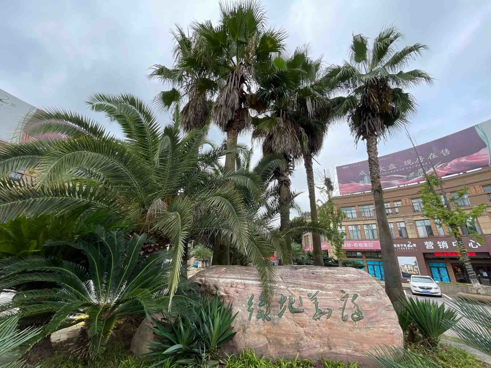 绿地华庭康城别墅204平5室6厅3卫南北通透豪装私家车位证满二年