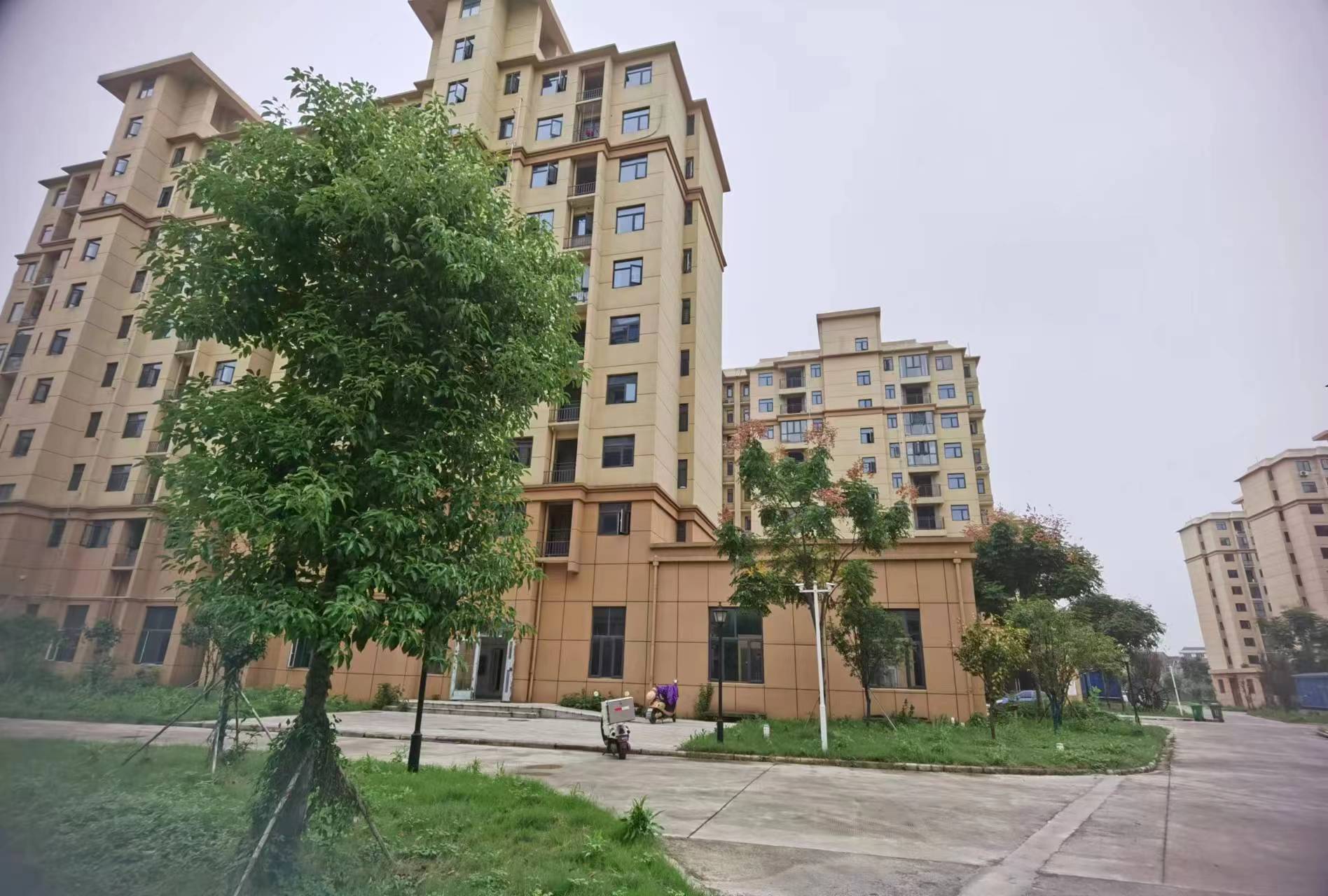 三中理想校区旁沔州花园经济房源