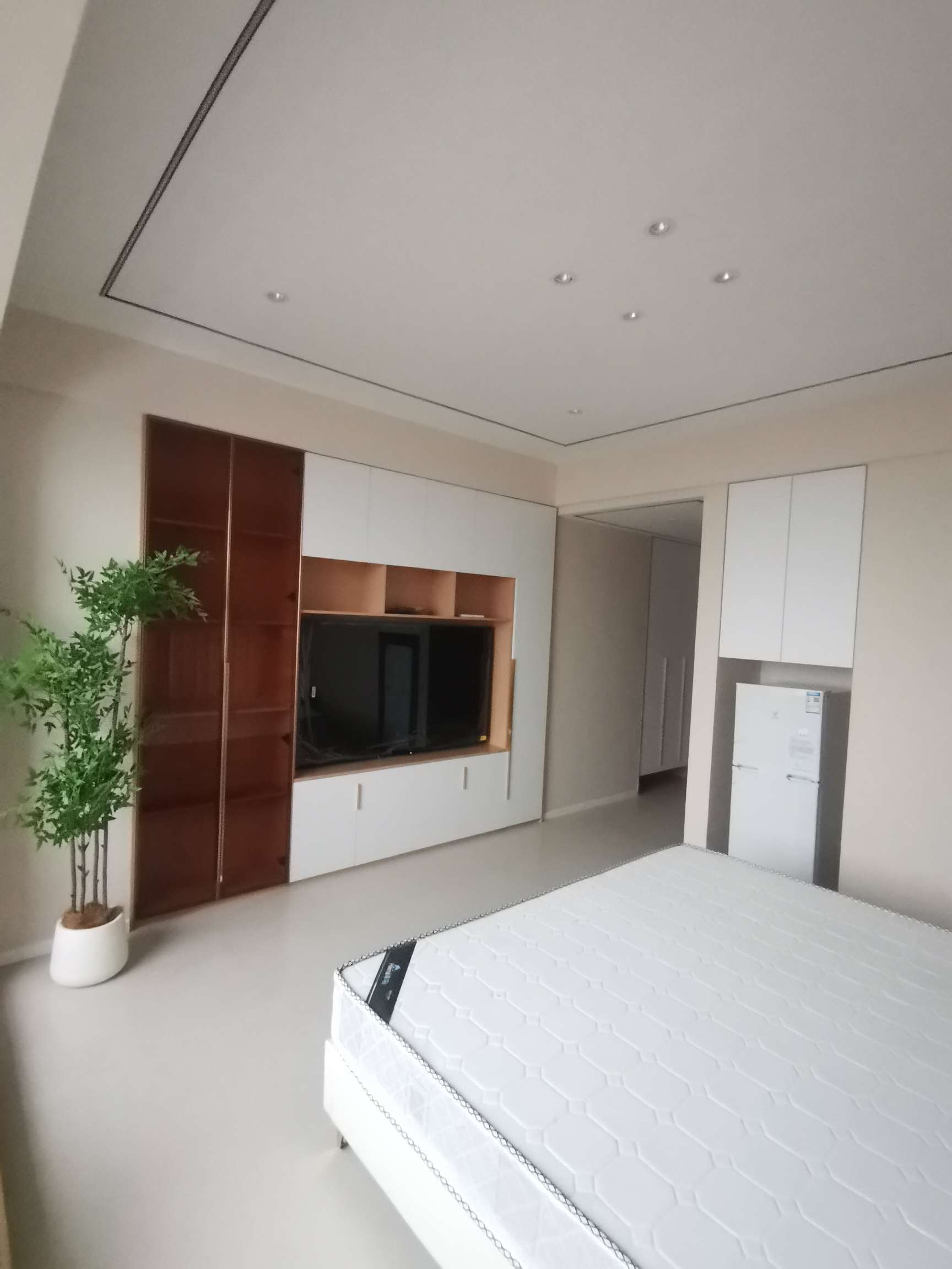 纽芬兰电梯中层，全屋智能，精装小户型单间，拎包入住