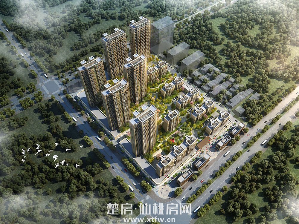 效果图