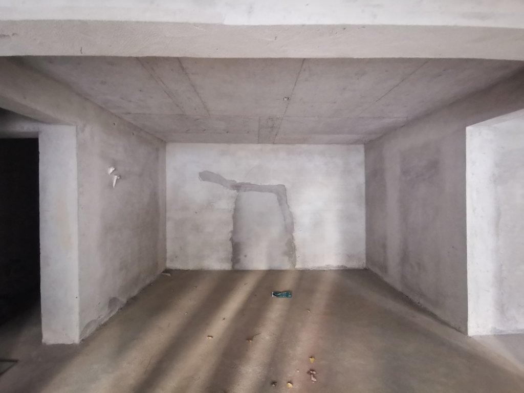 绿地香格里拉复式楼带车库赠送大院子南北通透