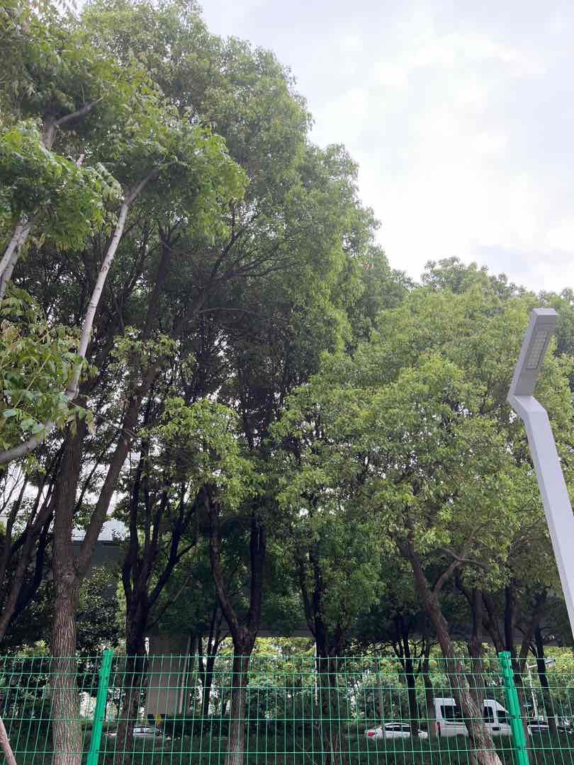 一中附近，城东，银湖城，电梯房小高层，好楼层8楼，有证