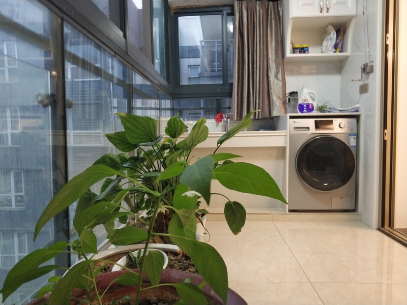 福星城精装修大3房，看房约