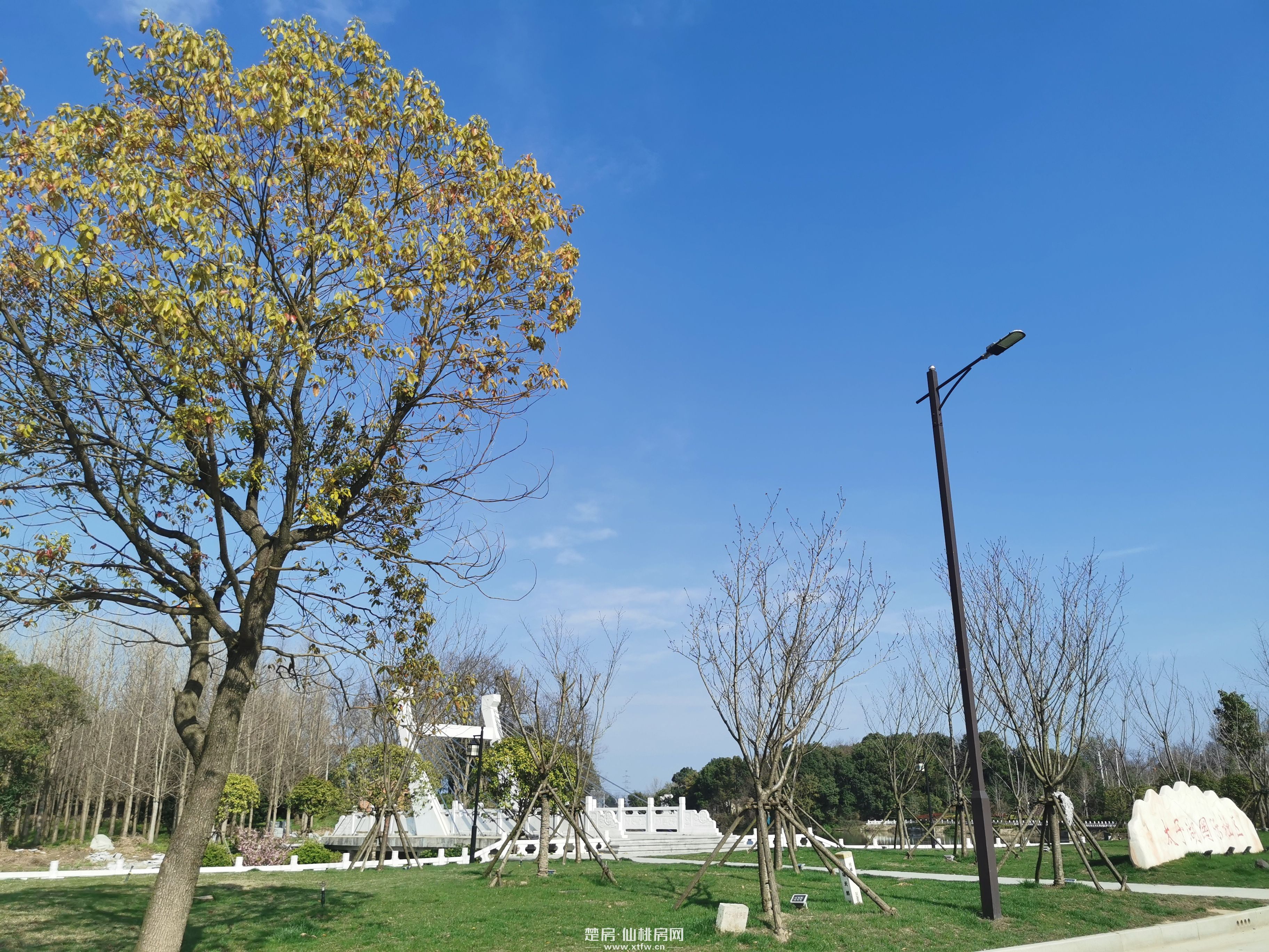 太子湖实景