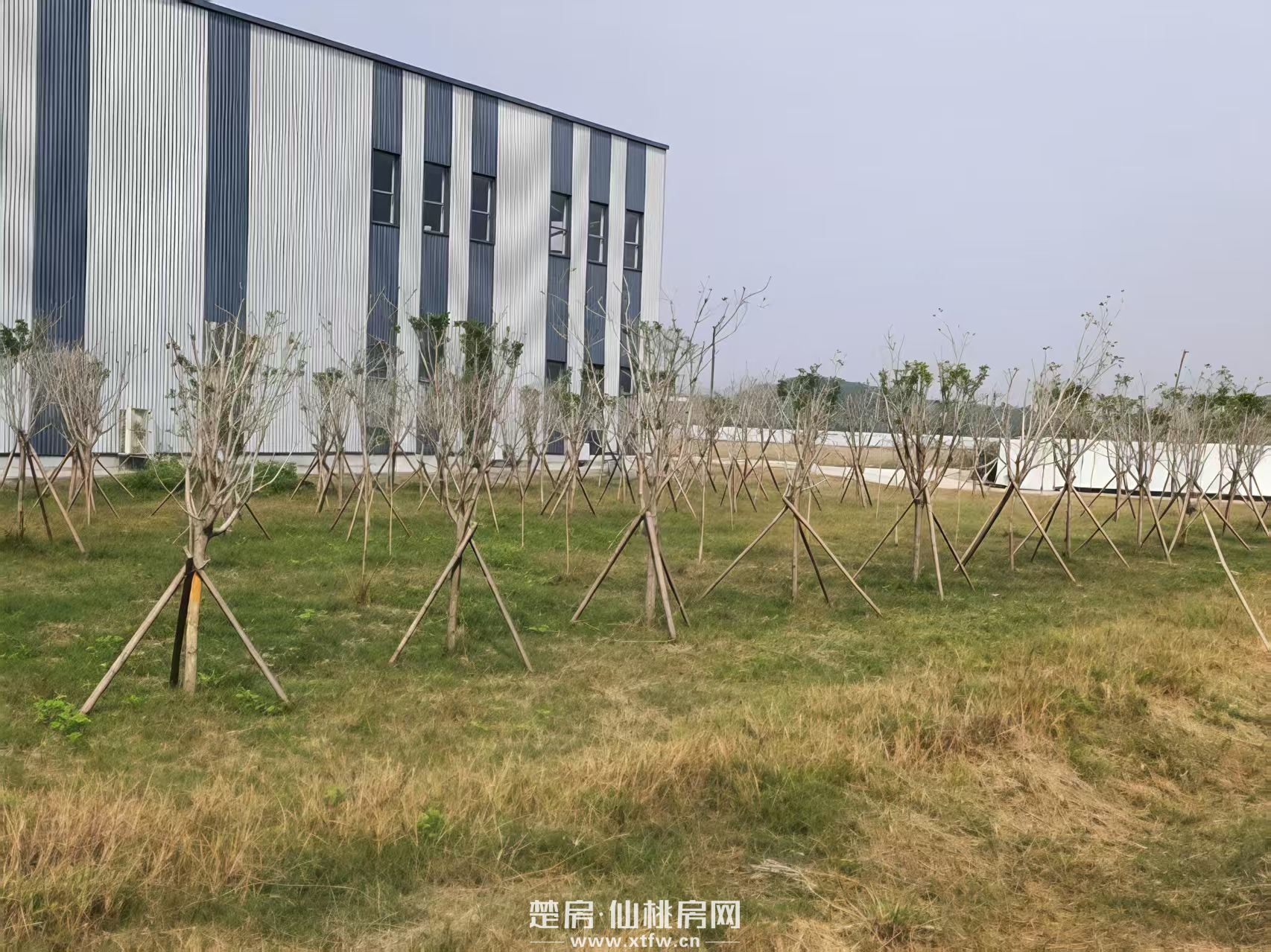 低价出租/出售仙桃高新区全新厂房带蒸汽可定制生产加工类企业均可入驻