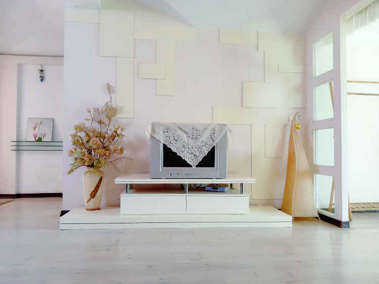 适合单身人士和新婚过渡期的小户型