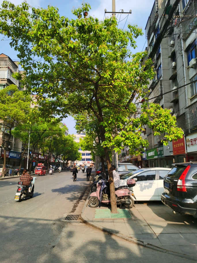 建设街交通路菜场旁