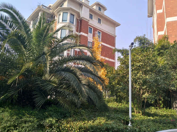 2室1厅7楼精装修68平米