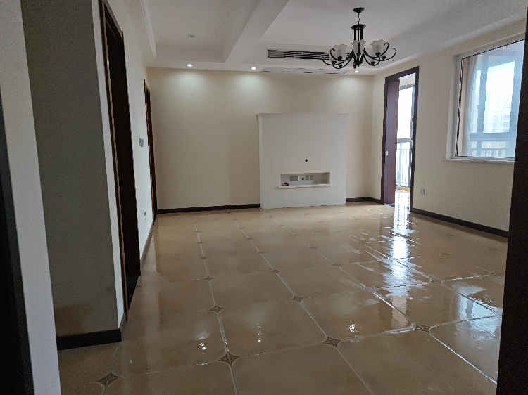 森林国际城湖景房