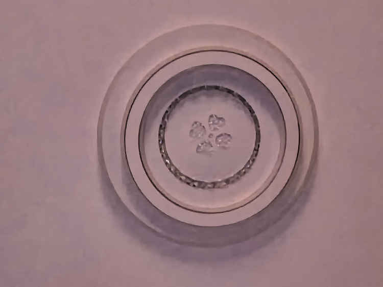 杨林尾镇福星花园房屋出售