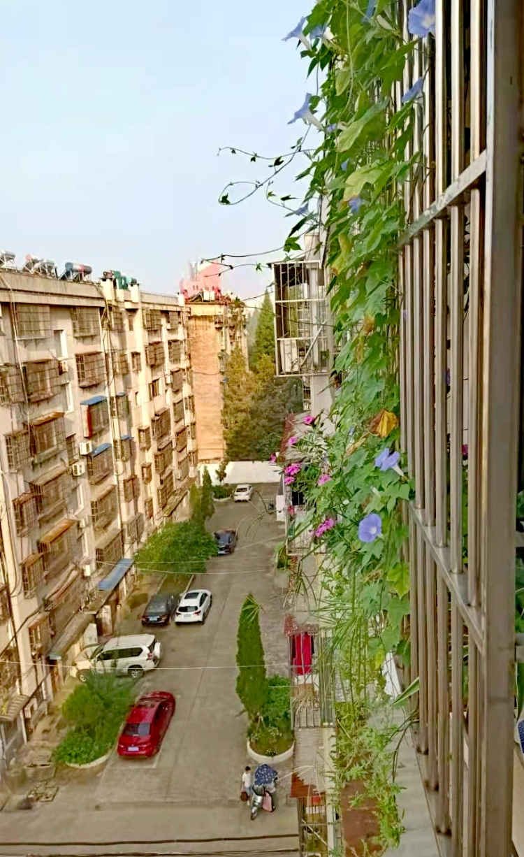 春江花园门面出售